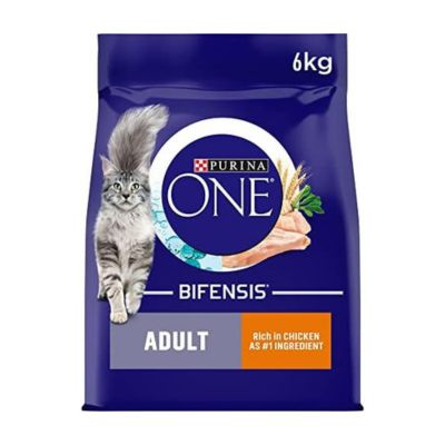 Purina ONE SmartBlend Natural Dry Cat Food